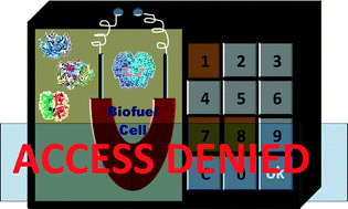 Graphical abstract: Self-powered biomolecular keypad lock security system based on a biofuel cell