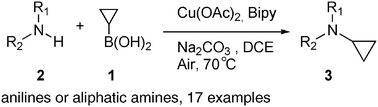Graphical abstract: Copper-promoted N-cyclopropylation of anilines and amines by cyclopropylboronic acid