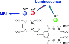 Graphical abstract: Synthesis and characterization of dinuclear heterometallic lanthanide complexes exhibiting MRI and luminescence response