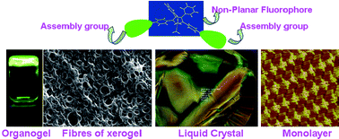 Graphical abstract: Self-assembly of novel fluorescent silole derivatives into different supramolecular aggregates: fibre, liquid crystal and monolayer