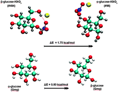 Graphical abstract: Sugar–salt and sugar–salt–water complexes: structure and dynamics of glucose–KNO3–(H2O)n