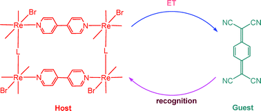 Graphical abstract: Luminescence quenching of Re(i) molecular rectangles by quinones