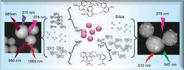Graphical abstract: Lanthanide-chelate silica nanospheres as robust multicolor Vis-NIR tags