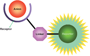 Graphical abstract: Boron based anion receptors as sensors