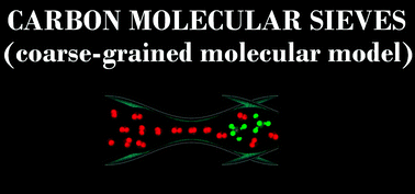 Graphical abstract: Microscopic model of carbonaceous nanoporous molecular sieves—anomalous transport in molecularly confined spaces