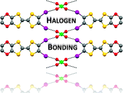 Graphical abstract: Halogen bonding: a general route in anion recognition and coordination