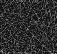 Graphical abstract: Polyphosphazene polymers for tissue engineering: an analysis of material synthesis, characterization and applications