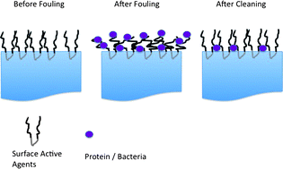 Graphical abstract: Strategies for controlling biofouling in membrane filtration systems: challenges and opportunities