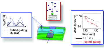 Graphical abstract: Investigation of sensing mechanism and signal amplification in carbon nanotube based microfluidic liquid-gated transistors via pulsating gate bias