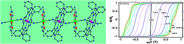 Graphical abstract: Heterobimetallic porphyrin-based single-chain magnet constructed from manganese(iii)-porphyrin and trans-dicyanobis(acetylacetonato) ruthenate(iii) containing co-crystallized bulk anions and cations