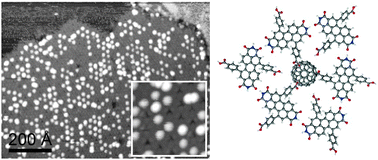 Graphical abstract: Tailoring pores for guest entrapment in a unimolecular surface self-assembled hydrogen bonded network