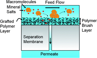Graphical abstract: Polymer surface nano-structuring of reverse osmosis membranes for fouling resistance and improved flux performance