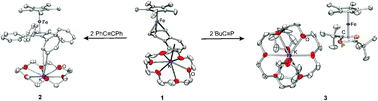 Graphical abstract: A reactive iron napthalene complex provides convenient access to the Cp*Fe− synthon (Cp* [[double bond, length as m-dash]] C5Me5)