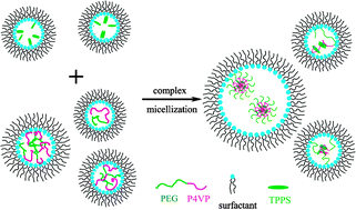 Graphical abstract: Complex aggregation of TPPS and PEG-b-P4VP in confined space