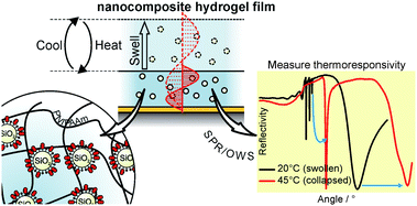 Graphical abstract: The swelling behaviour of thermoresponsive hydrogel/silica nanoparticle composites
