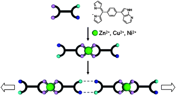 Graphical abstract: Combination of hydrogen and coordination bonding for the construction of one-dimensional networks based on a 7-azaindole appended dipyrrin