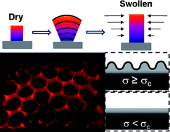 Graphical abstract: Kinetic study of swelling-induced surface pattern formation and ordering in hydrogel films with depth-wise crosslinking gradient