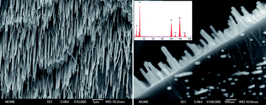 Graphical abstract: Self-assembled single crystal germanium nanowires arrays under supercritical hydrothermal conditions
