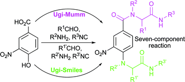 Graphical abstract: Seven-component reactions by sequential chemoselective Ugi–Mumm/Ugi–Smiles reactions