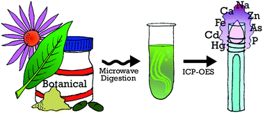 Graphical abstract: Metals analysis of botanical products in various matrices using a single microwave digestion and inductively coupled plasma optical emission spectrometry (ICP-OES) method