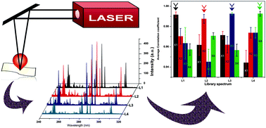 Graphical abstract: Laser induced breakdown spectroscopy for rapid identification of different types of paper for forensic application