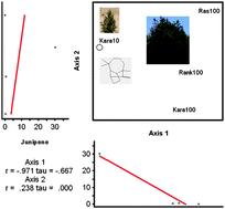 Graphical abstract: Volatile compounds from leaf extracts of Juniperus excelsa growing in Syria via gas chromatography mass spectrometry