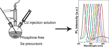 Graphical abstract: Investigation on the phosphine-free synthesis of CdSe nanocrystals by cadmium precursor injection