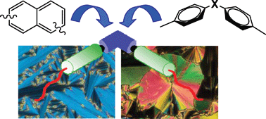 Graphical abstract: On the supramolecular packing of bent-shaped molecules: the influence of the central bent-core on the liquid crystalline behaviour