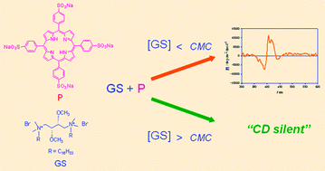 Graphical abstract: Propagation of chirality from gemini surfactants to porphyrin/surfactant heteroaggregates: transcription of the stereochemical information into an organizational feature