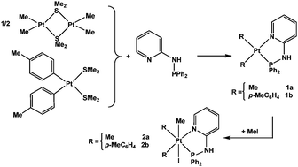 Graphical abstract: Diorganoplatinum(ii) complexes with chelating PN ligand 2-(diphenylphosphinoamino)pyridine; synthesis and kinetics of the reaction with MeI