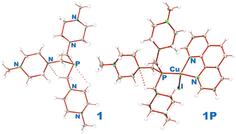 Graphical abstract: Copper(i) iodide complexes containing new aliphatic aminophosphine ligands and diimines—luminescent properties and antibacterial activity