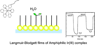 Graphical abstract: Highly luminescent Langmuir–Blodgett films of amphiphilic Ir(iii) complexes for application in gas sensing