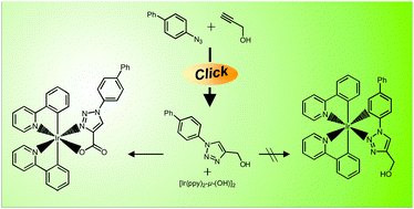 Graphical abstract: Unexpected metal-mediated oxidation of hydroxymethyl groups to coordinated carboxylate groups by bis-cyclometalated iridium(iii) centers