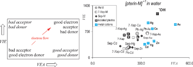 Graphical abstract: Electron donor–acceptor properties of metal atoms interacting with pterins