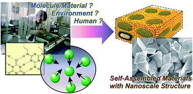 Graphical abstract: By what means should nanoscaled materials be constructed: molecule, medium, or human?