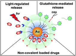 Graphical abstract: Multimodal drug delivery using gold nanoparticles