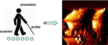 Graphical abstract: The new future of scanning probe microscopy: Combining atomic force microscopy with other surface-sensitive techniques, optical microscopy and fluorescence techniques
