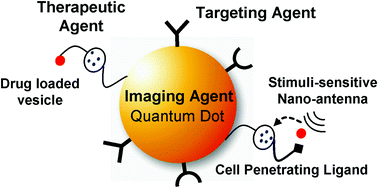 Graphical abstract: Quantum dot-based theranostics