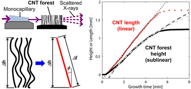 Graphical abstract: Measuring the lengthening kinetics of aligned nanostructures by spatiotemporal correlation of height and orientation