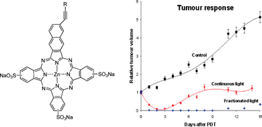 Graphical abstract: Structure–activity relationships of mono-substituted trisulfonated porphyrazines for the photodynamic therapy (PDT) of cancer