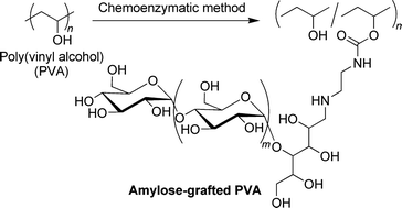 Graphical abstract: Chemoenzymatic synthesis of amylose-grafted poly(vinyl alcohol)