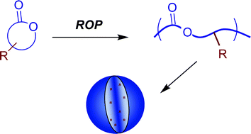 Graphical abstract: Towards poly(ester) nanoparticles: recent advances in the synthesis of functional poly(ester)s by ring-opening polymerization