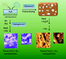 Graphical abstract: Biopolymer templating as synthetic route to functional metal oxide nanoparticles and porous sponges