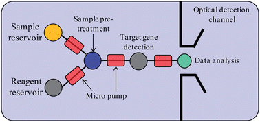Graphical abstract: Miniaturization of molecular biological techniques for gene assay
