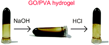 Graphical abstract: A pH-sensitive graphene oxide composite hydrogel