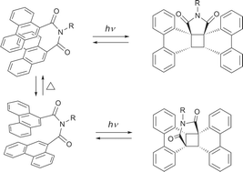 Graphical abstract: Reversal of regioselectivity (straight vs. cross ring closure) in the intramolecular [2+2] photocycloaddition of phenanthrene derivatives