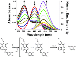 Graphical abstract: FerriNaphth: A fluorescent chemodosimeter for redox active metal ions