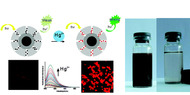 Graphical abstract: Multifunctional mesoporous material for detection, adsorption and removal of Hg2+ in aqueous solution