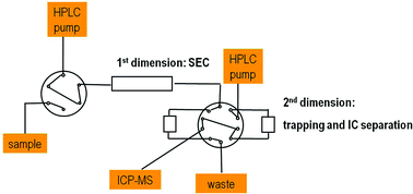 Graphical abstract: On-line fast column switching SEC × IC separation combined with ICP-MS detection for mapping metallodrug–biomolecule interaction