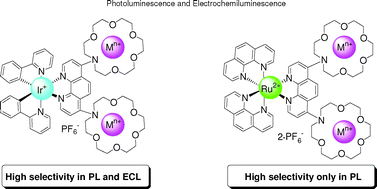 Graphical abstract: Comparison of ruthenium(ii) and cyclometalated iridium(iii) azacrown ether phenanthroline hybrids for the detection of metal cations by electrochemiluminescence